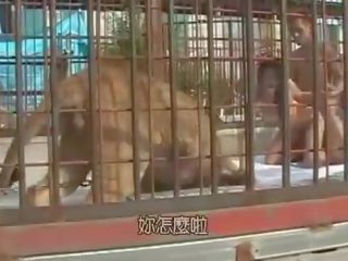 Nhật bản gà con fucked lược trong các lions lồng